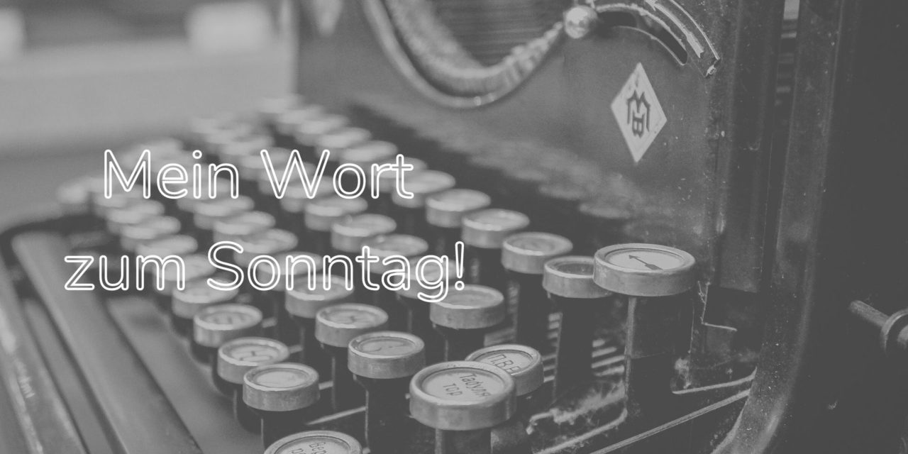 Wort z. Sonntag, Folge 32 gibt es die beste Kamera?