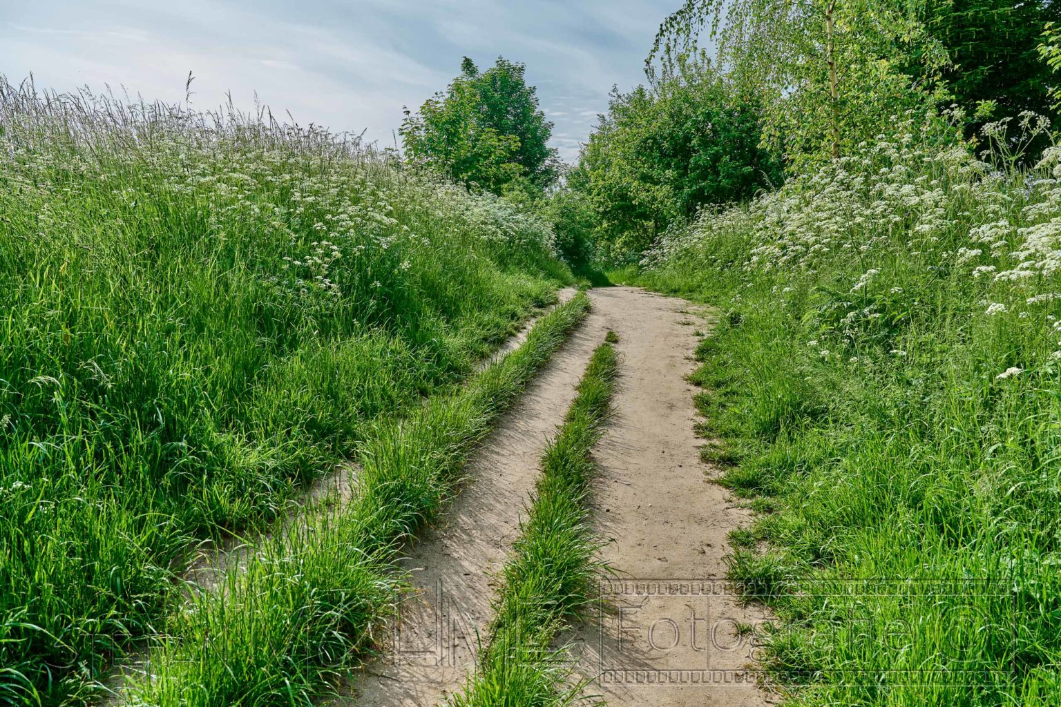 Schwedeneck,Ostsee,Steilküste,Naturlandschaft,Meer