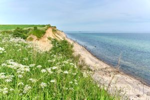 Schwedeneck,Ostsee,Steilküste,Naturlandschaft,Meer