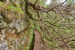 Madeire, Levada ,Gebirge