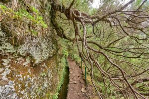 Madeire, Levada ,Gebirge