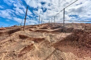 Madeira, Naturlandschaft