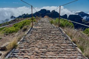 Madeira, Naturlandschaft