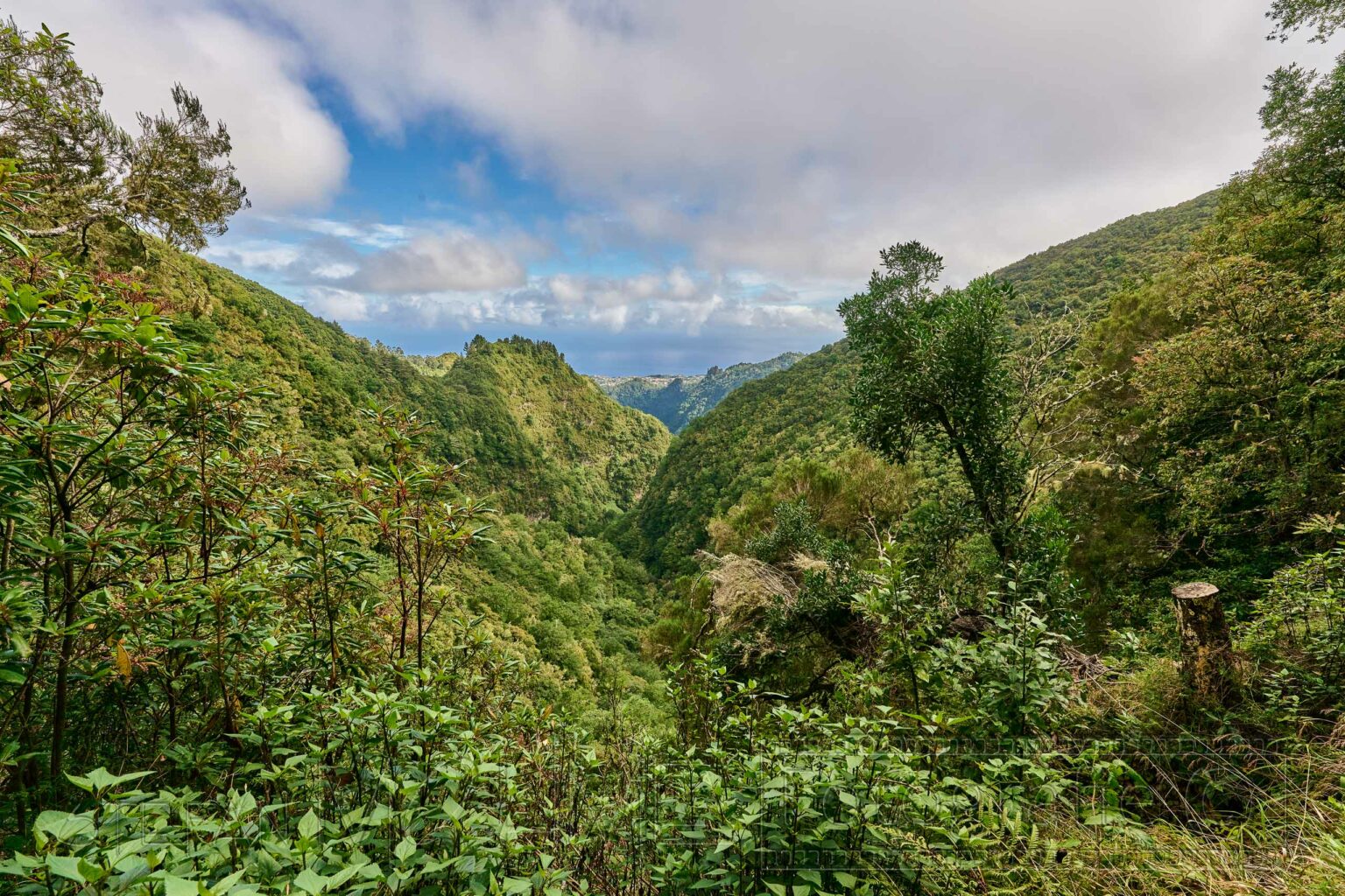 Madeira, Levada ,Naturlandschaft