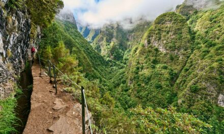 Madeira, Wanderung durch die „Grüne Hölle“ Caldeirao Verde.