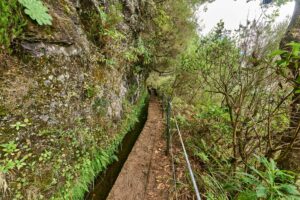 Madeira, Levada ,Naturlandschaft