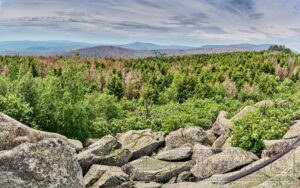 Nationalpark, Harz, Naturlandschaft