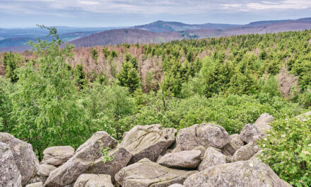 Spontaner Kurzurlaub im Harz, Wernigerode.