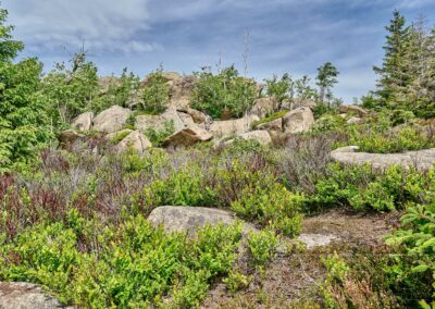 Landschaft, Natur