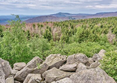 Landschaft, Natur