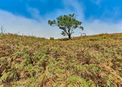 Landschaft, Natur