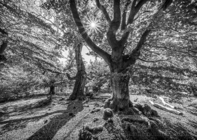 Schwarzweiss, Landschaft