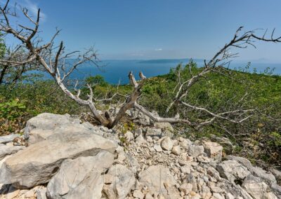 Landschaft, Natur