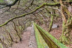 Madeira, Naturlandschaft ,Levadas
