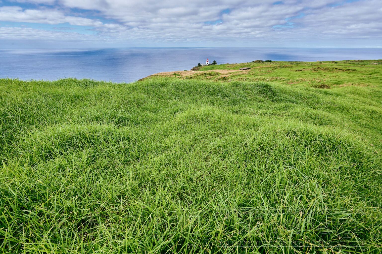 Madeira, Westküste ,Naturlandschaft