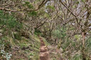 Madeira Naturlandschaft
