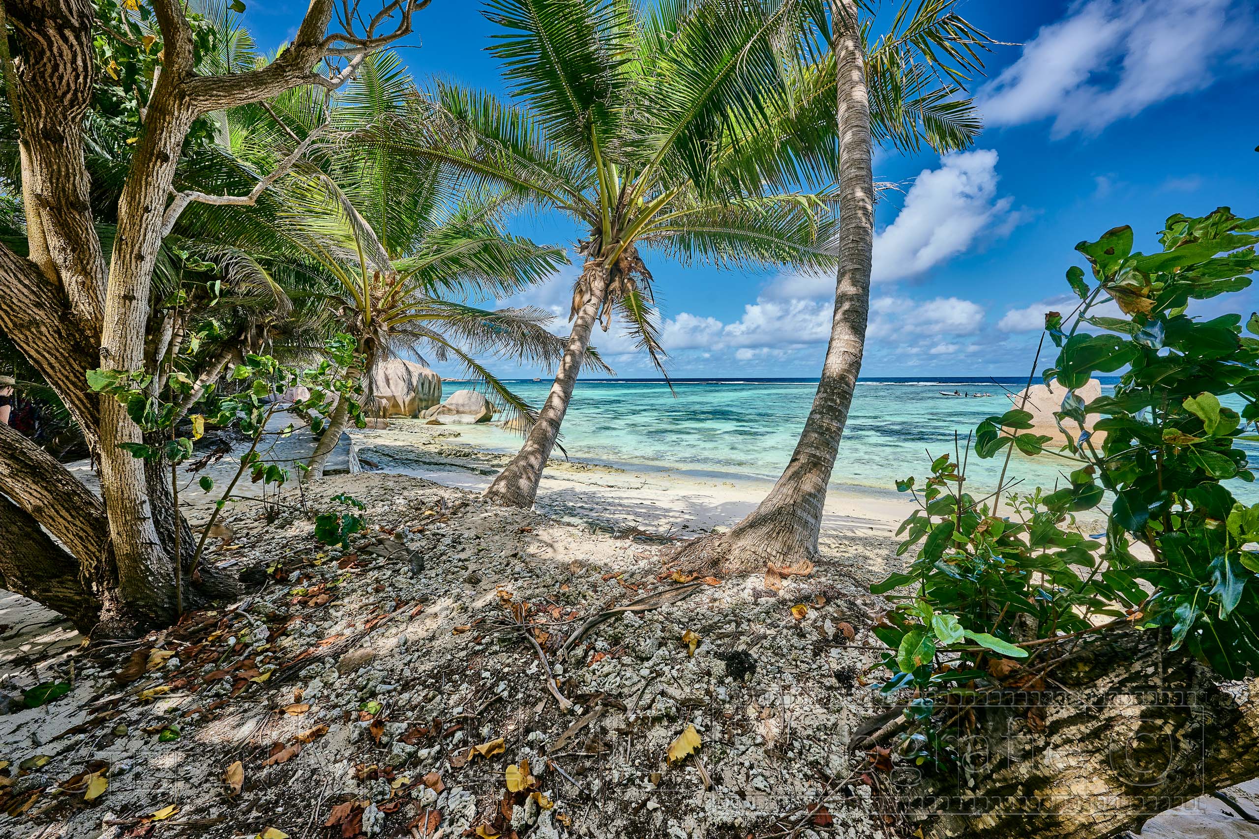 Seychellen, tropische, Naturlandschaft, Inseln