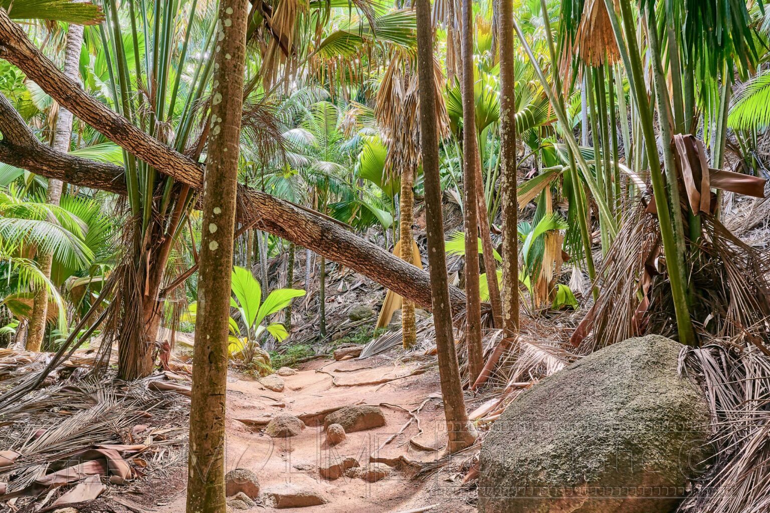 Seychellen, tropische, Naturlandschaft, Inseln