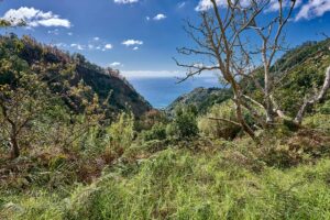 Madeira, Naturlandschaft