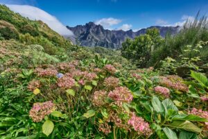 Madeira Naturlandschaft Berge10